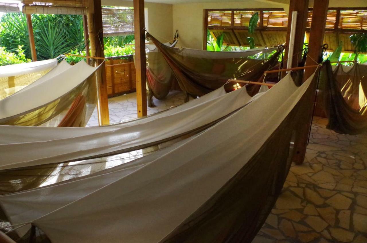 La Suite De Kaz'Hamac Grand-Bourg (Marie Galante) Extérieur photo